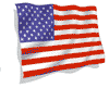 usflag.gif (10730 bytes)